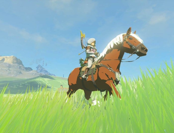 Where to find epona totk