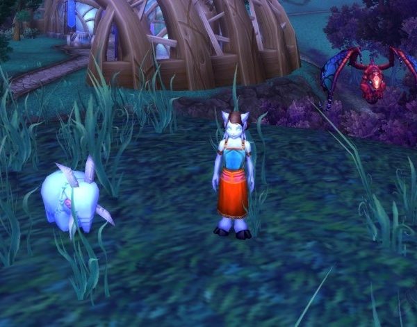 Warcraft pets