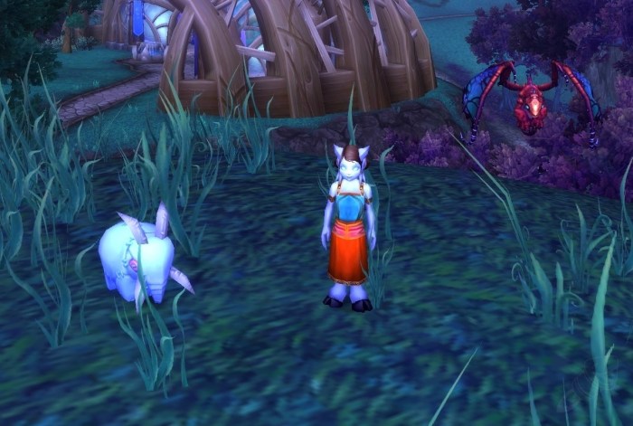 Warcraft pets