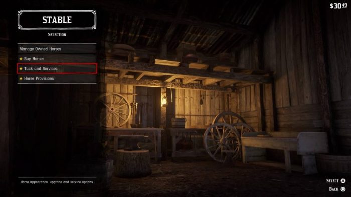 Rdr2 stuck in stable