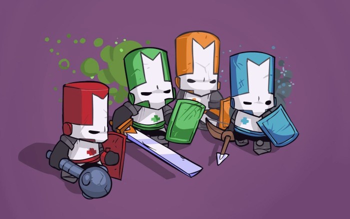 Castle crashers max level