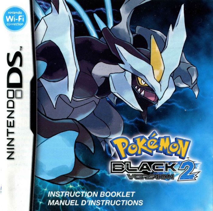 Pokemon roms ds black 2