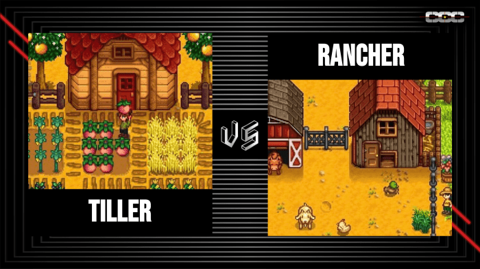 Tiller or rancher better