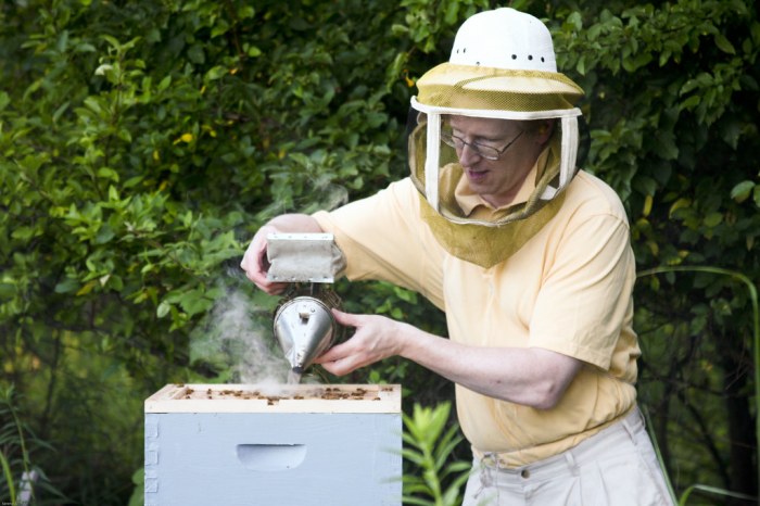 Bees smoker smoking safety use tips beekeeping working when