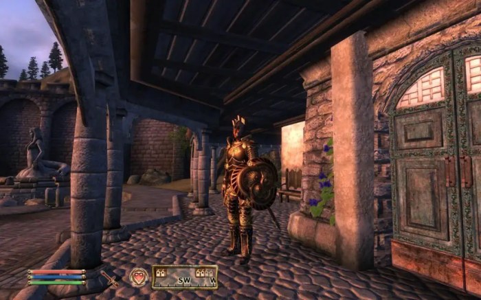 Much oblivion too gold imgur