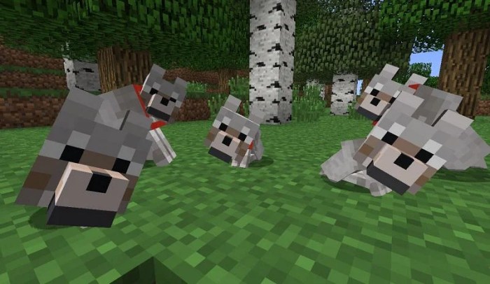 Minecraft fox vs wolf