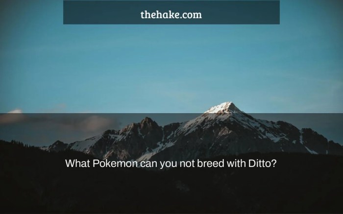 Can you breed 2 dittos