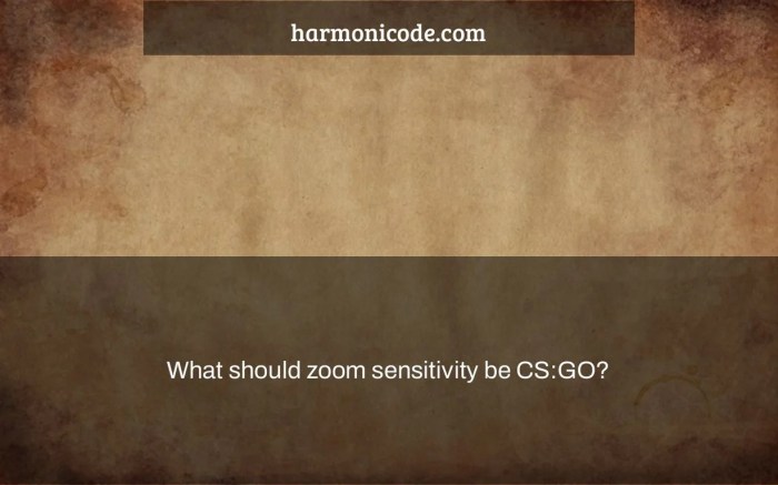 Cs go zoom sensitivity