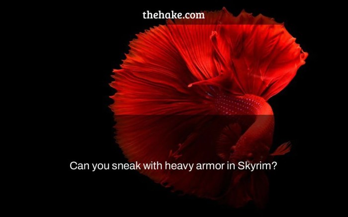 Heavy armor sneak skyrim