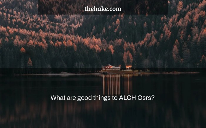 Osrs best things to alch