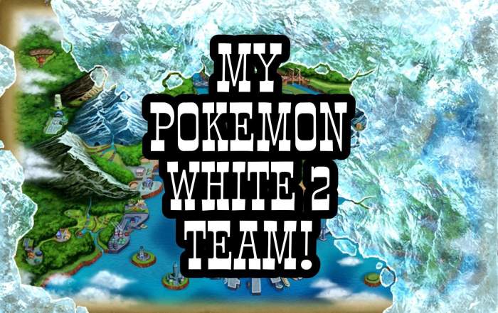 Pokemon white 2 team