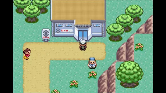 Pokemon emerald 7th gym