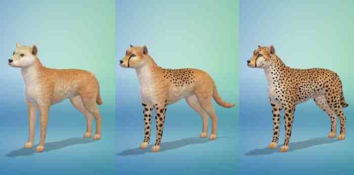 Cats dogs sims sim cat personalities unique pets ea community sims4 available will simsvip ep04 ts4 personality