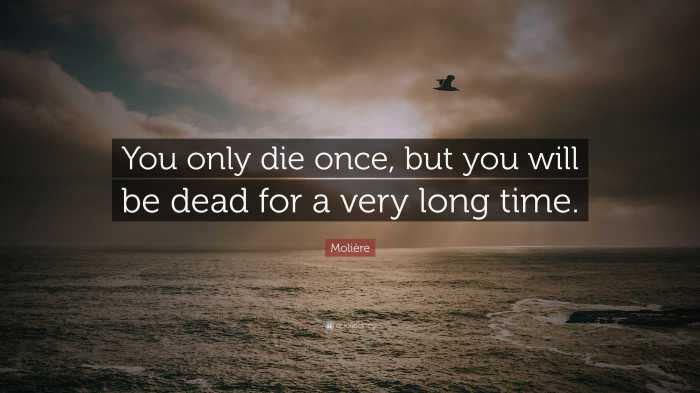 If you only die once