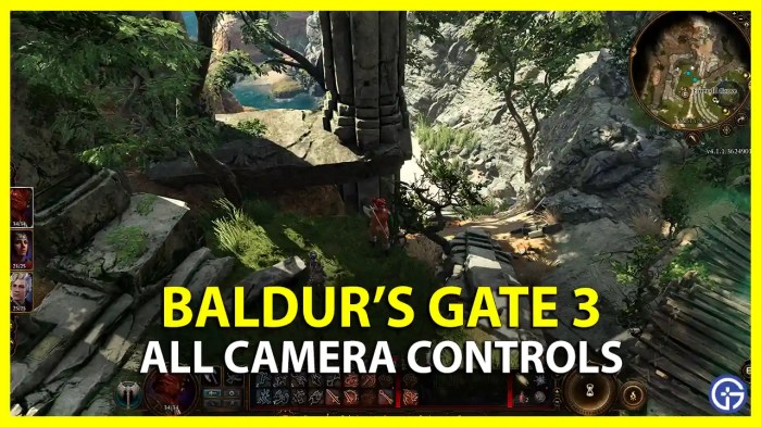 Baldurs gate 3 camera