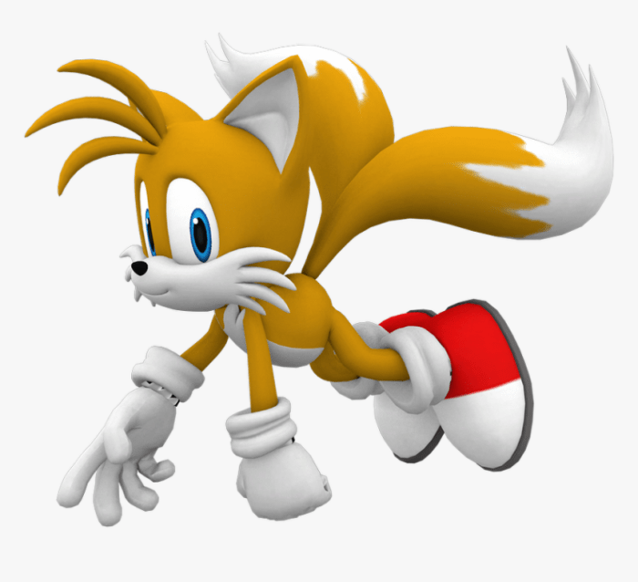Sonic and tails flying