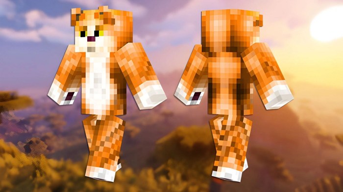 Cat skins in minecraft