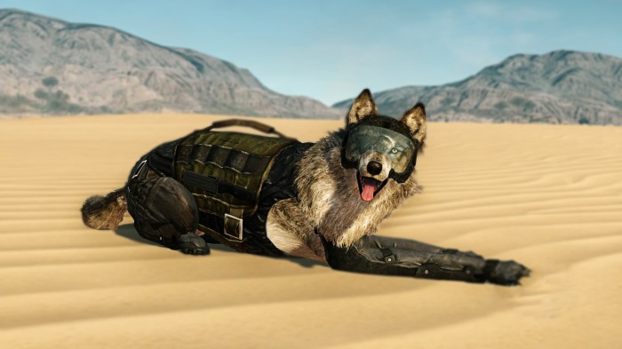 How to get d dog mgsv