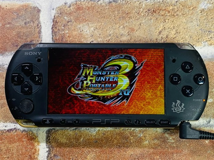 Monster hunter psp 3000