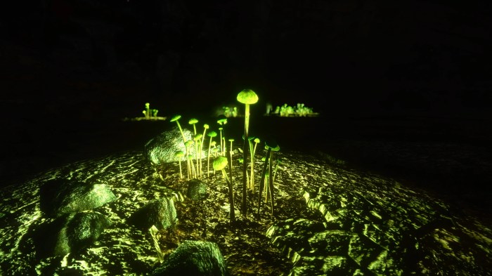 Glowing fungus eat don information