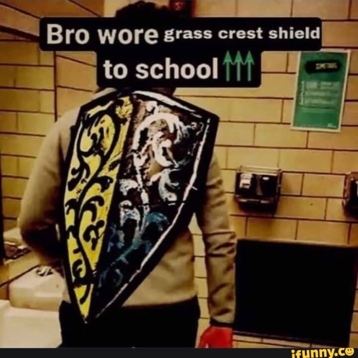 Shield crest grass souls dark