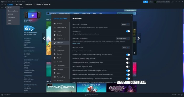 What is steam client