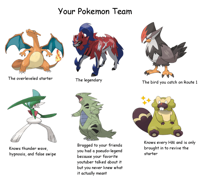 Best pokemon for a team