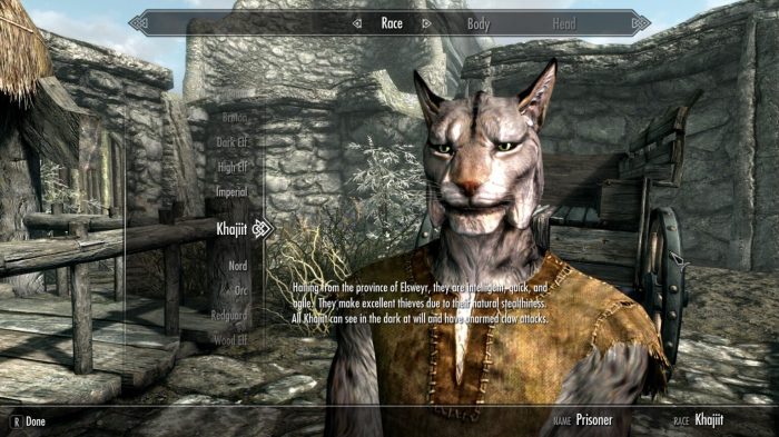 Skyrim best thief build