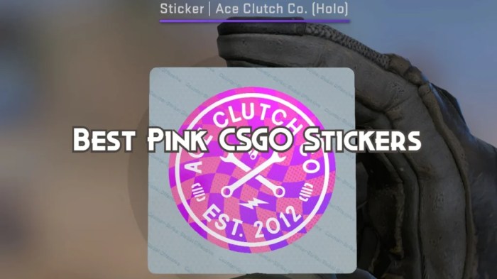 Pink stickers in csgo