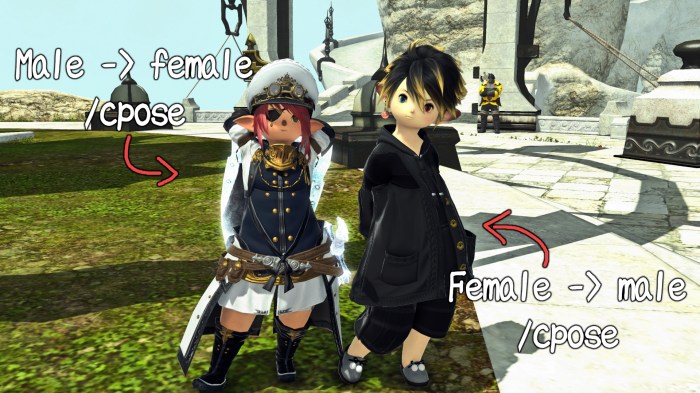 Ffxiv model id list