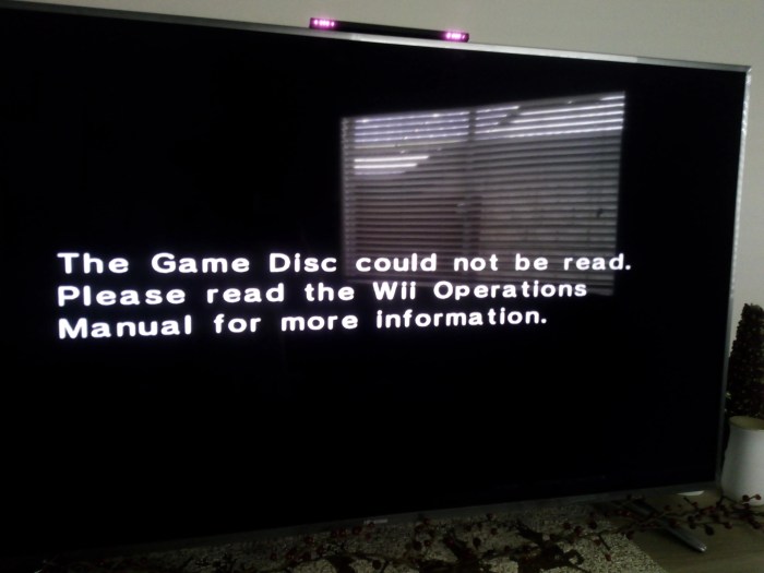 Wii won't read disc