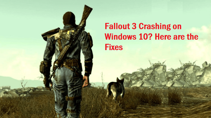 Fallout windows