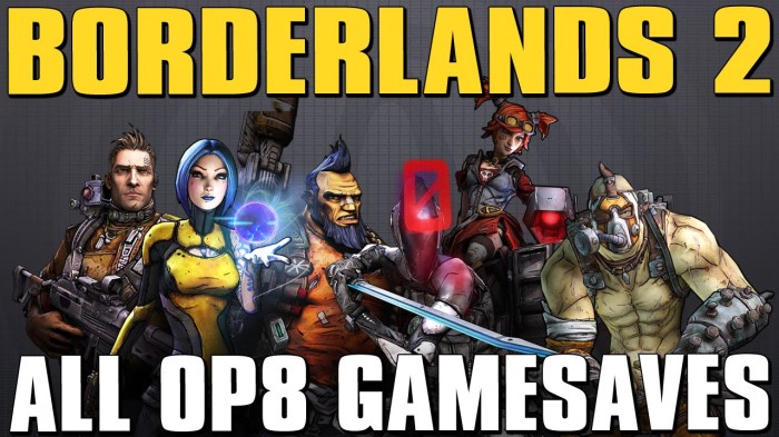 Borderlands 2 save file