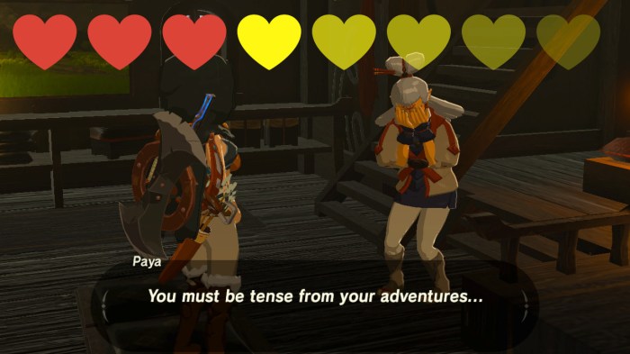 Botw how to use boats