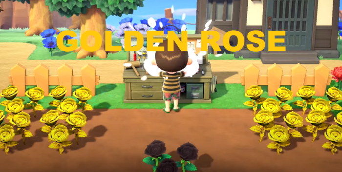 Animal crossing gold rose