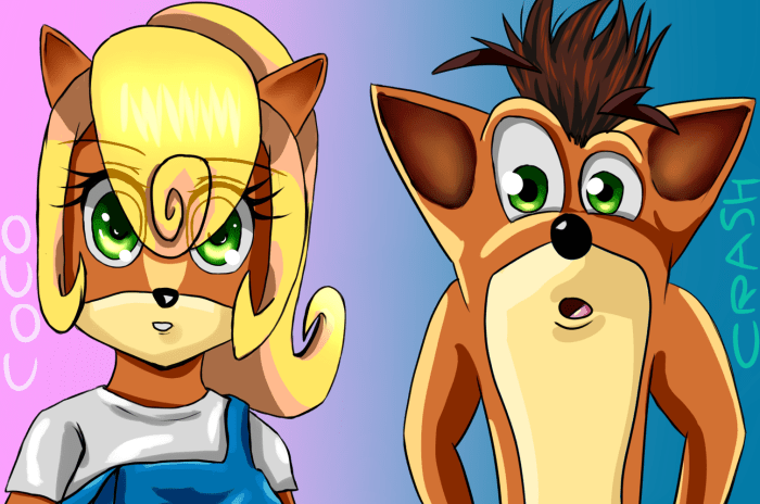 Coco and crash bandicoot