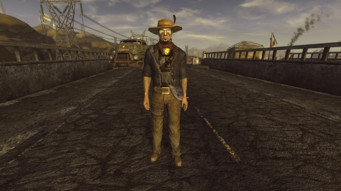 Courier armor new vegas