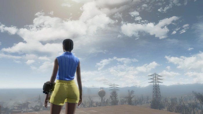 Fallout 4 summer shorts