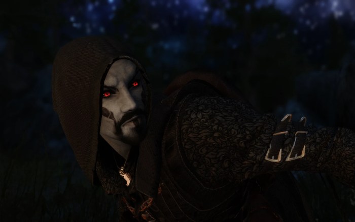 Skyrim dark elf vampire