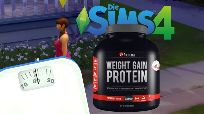 Sims fat fit