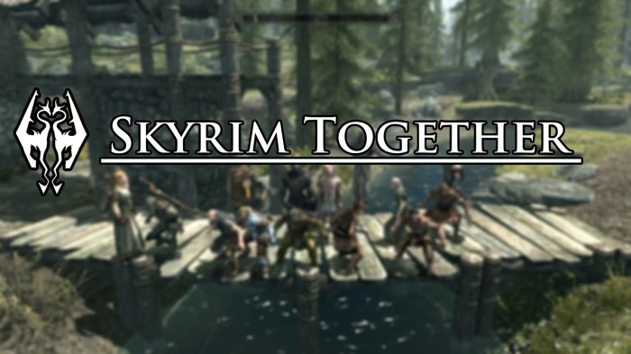 Can't move in skyrim