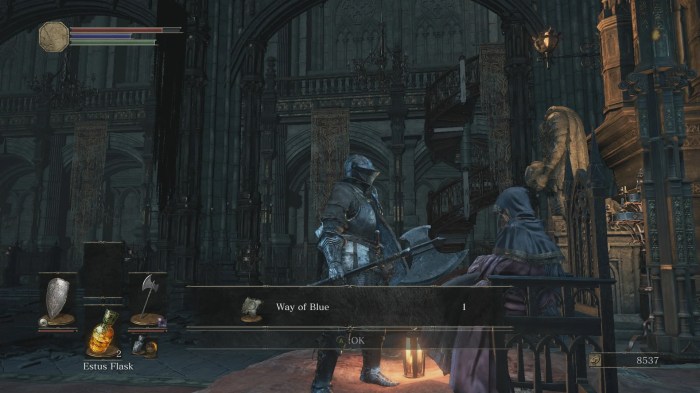 Is dark souls 3 co op