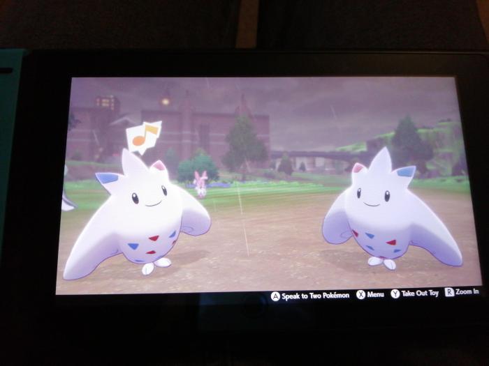 Shiny togekiss last long evolve able finally