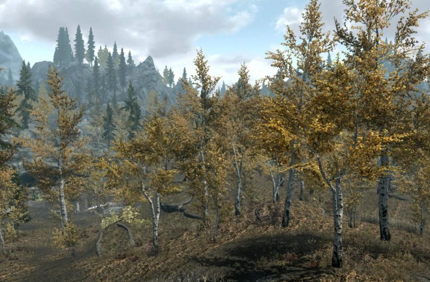 Skyrim regain the rift