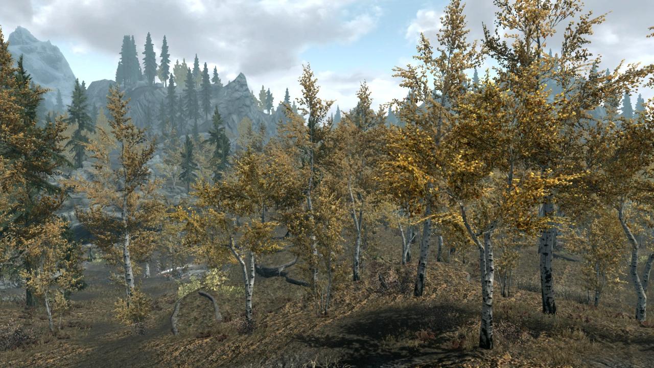 Skyrim regain the rift