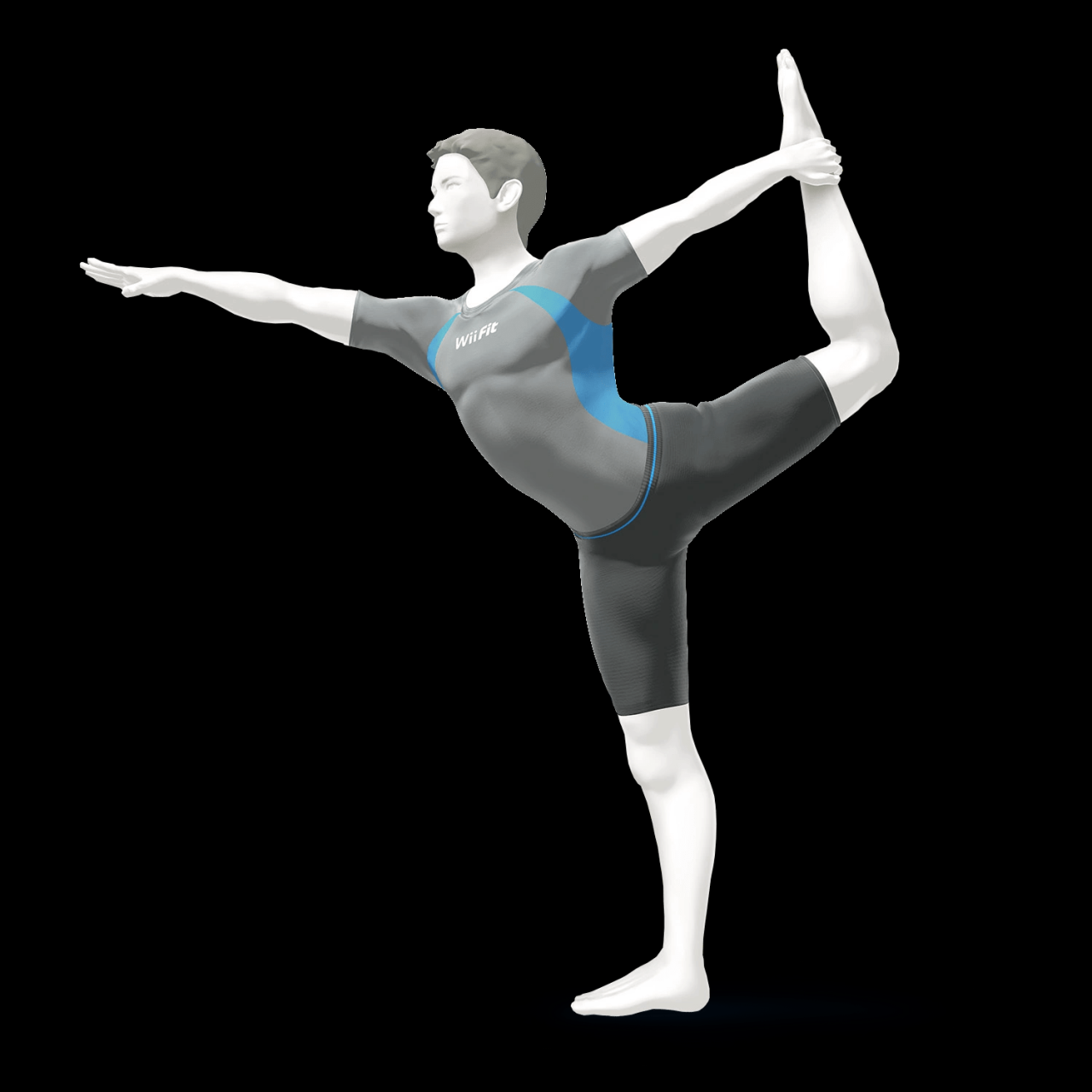 Male wii fit trainer