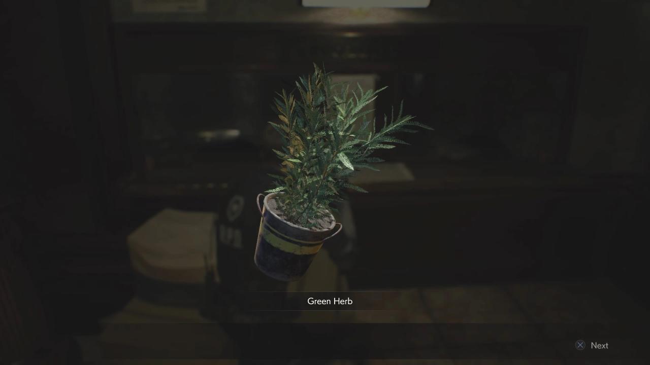 Resident evil green herb