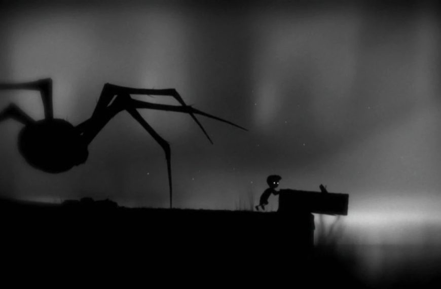 Limbo one legged spider