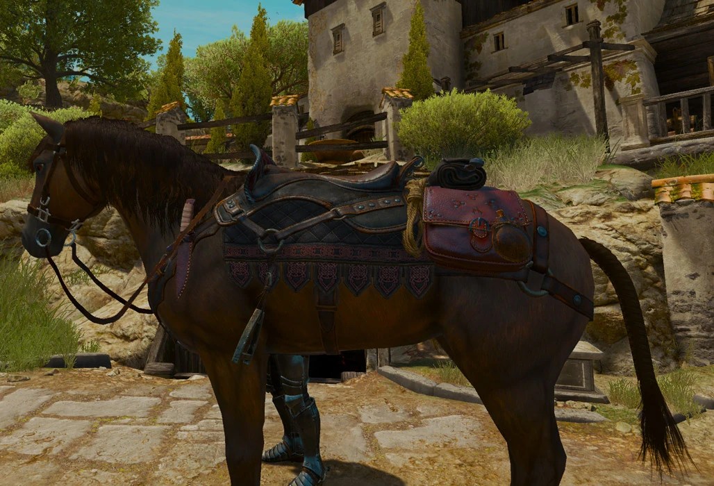 Best saddle witcher 3