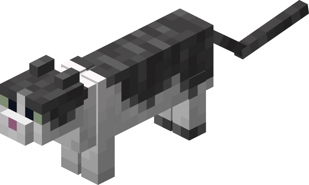 Jelly the cat minecraft